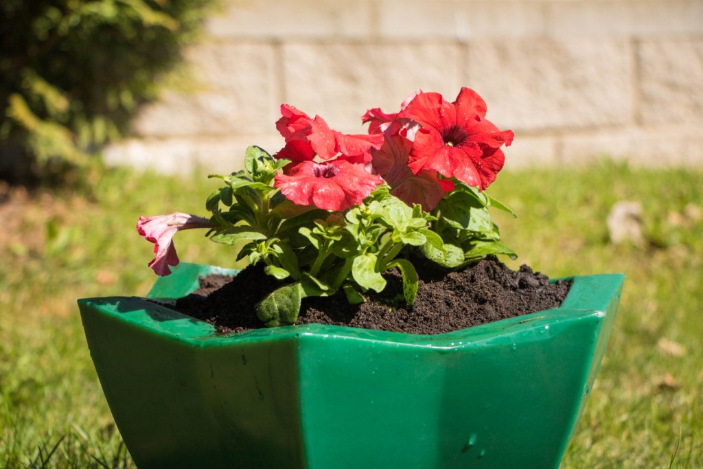 Вазон пластиковый. Собственное производство. Чистоград. Кашпо цветочное Лотос 350/450. Модель 2019